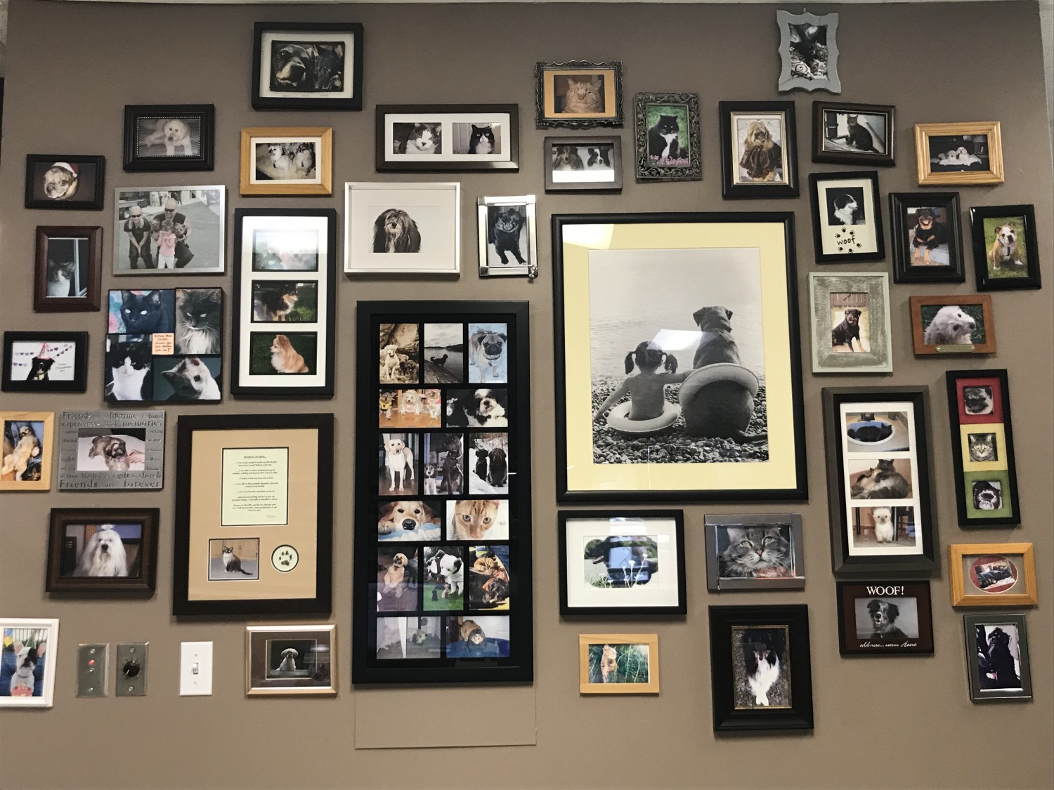 Sifton Park Veterinary Clinic Edmonton, AB Home