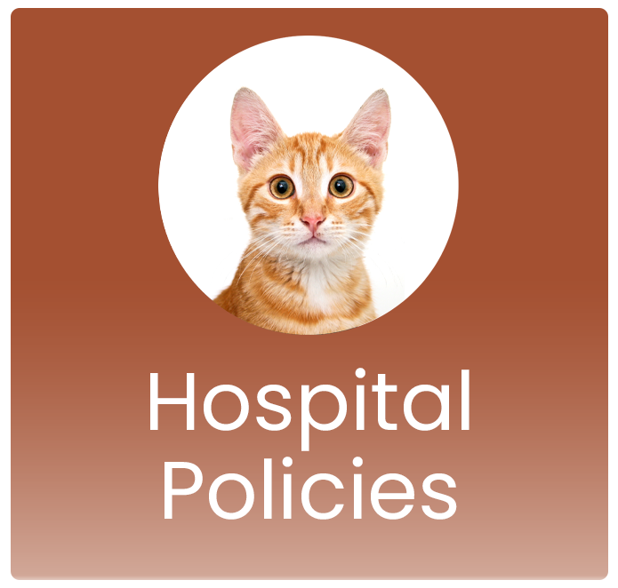 Hospital Policies