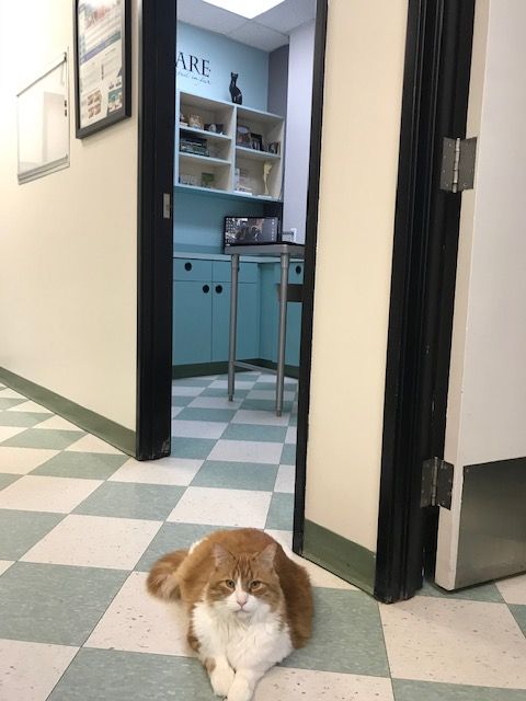 Picture of hallway leading to exam room